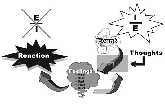 Anger Management  Model 8